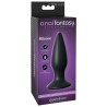 petit plug anal rechargeable