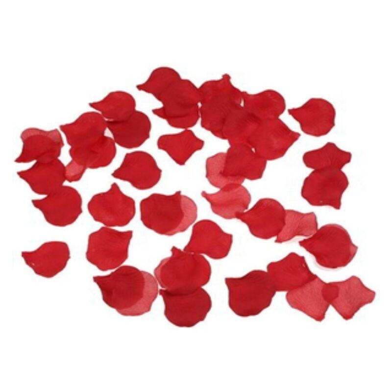 100 pétales rouges 100 pétales rouges