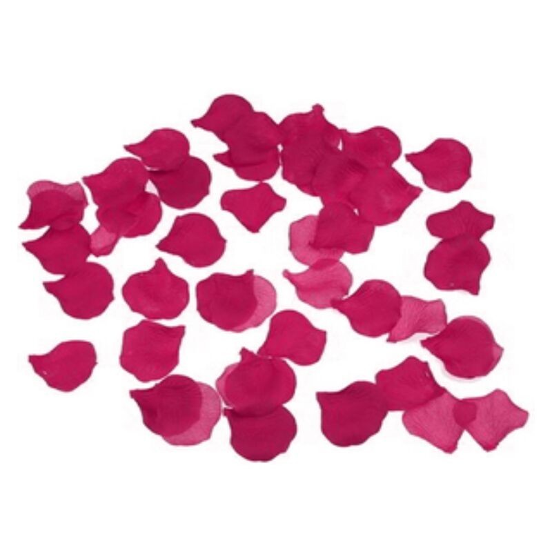 100 pétales de fuchsia 100 pétales de fuchsia