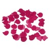 100 pétales de fuchsia