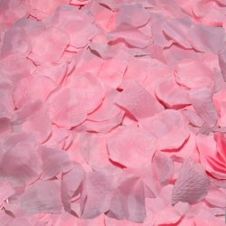 100 pétales roses