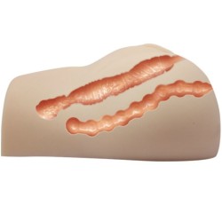 vagin et anus réalistes avec position de vibration 7