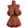 perfect 10 torse marron