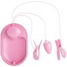 boite surprise pinces délectro stimulation rose
