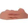 masturbateur femme torse double entrée candy