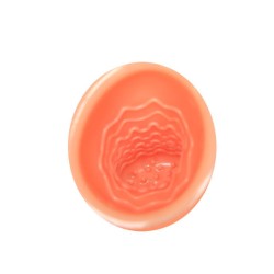 amant du sexe oral 30v avec adaptateur