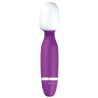 masseur lilas classique bthrilled