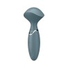 mini wonder gris