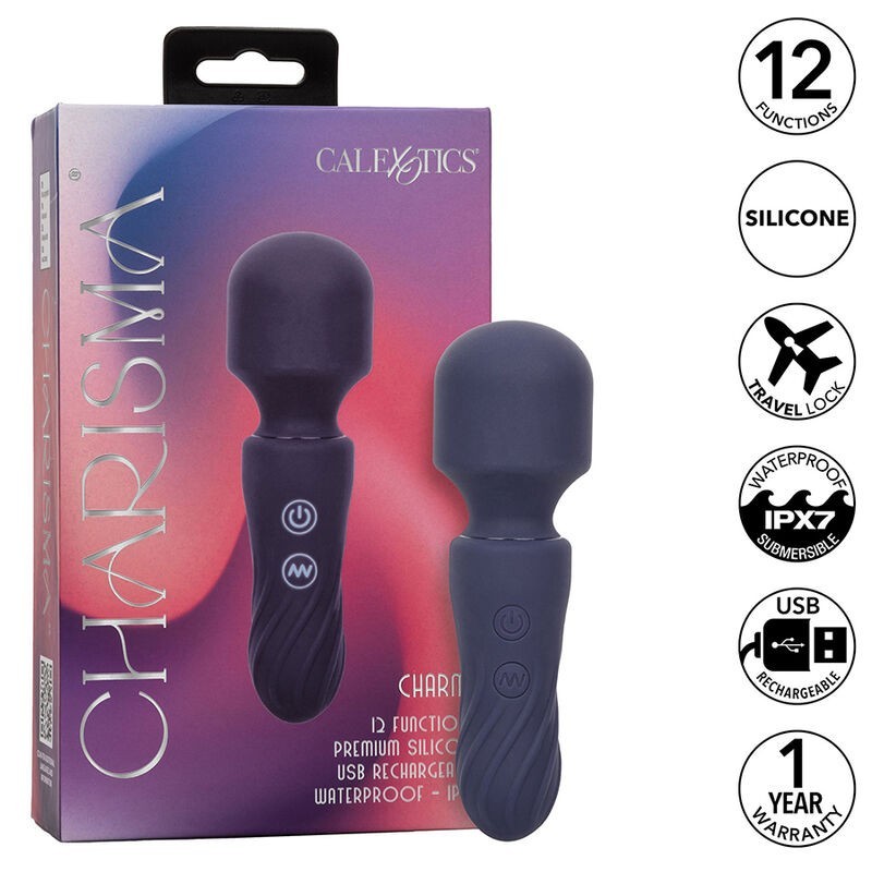 charisma charm masseur 12 fonctions violet charisma charm masseur 12 fonctions violet