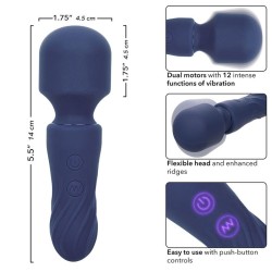 charisma charm masseur 12 fonctions violet
