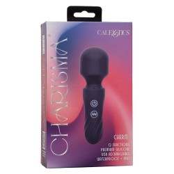 charisma charm masseur 12 fonctions violet