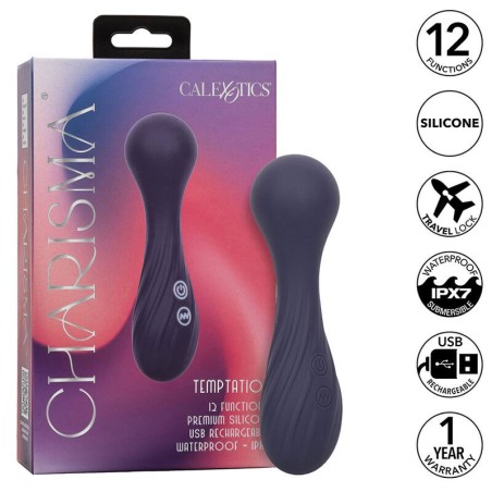 charisma temptation masseur 12 fonctions violet