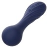 charisma temptation masseur 12 fonctions violet
