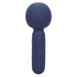 charisma seduction masseur 12 fonctions 17,75 cm x 6,25 cm violet
