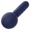 charisma seduction masseur 12 fonctions 17,75 cm x 6,25 cm violet