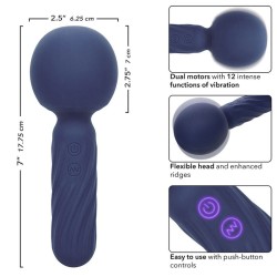 charisma seduction masseur 12 fonctions 17,75 cm x 6,25 cm violet