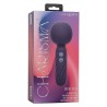charisma seduction masseur 12 fonctions 17,75 cm x 6,25 cm violet
