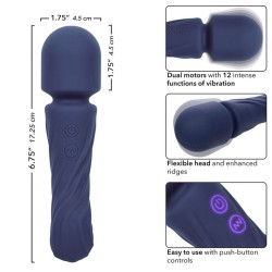 charisma allure masseur double moteurs 12 fonctions 17,25 cm x 4,5 cm violet