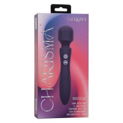 charisma mystique masseur double moteurs 12 fonctions 20,5 cm x 4,5 cm violet
