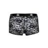 boxer romance l