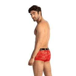 boxer brave l