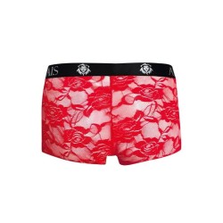 boxer brave l