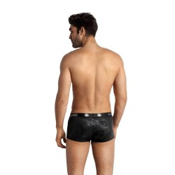boxer electro l