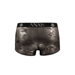 boxer electro l