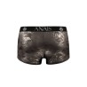 boxer electro xl
