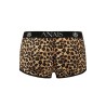 boxer mercury l