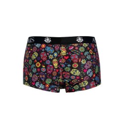 mexico boxer l