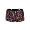 mexico boxer l