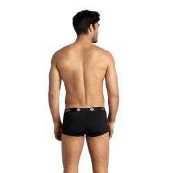 boxer petrol l