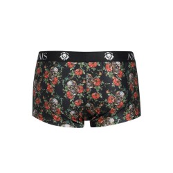 power boxer xl