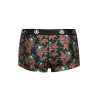 power boxer xl