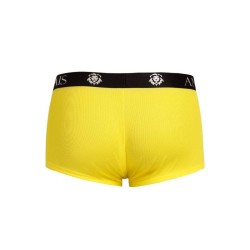 tokio boxer xl