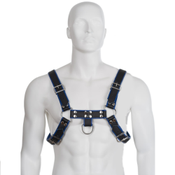 harnais en cuir bleu et noir poitrine bulldog