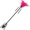 fouet & feather noir et fuchsia
