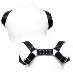 holster