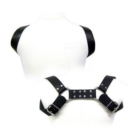 holster