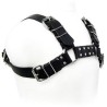 harnais bull dog noir