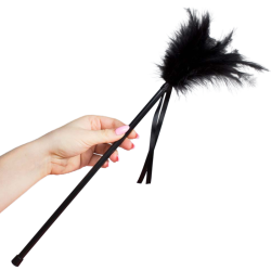 plumes noires 40 cm