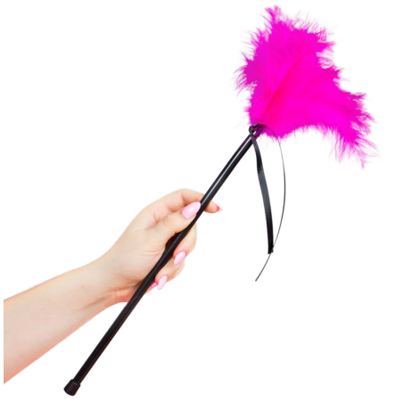 plumes rose 40 cm
