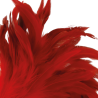 stylo stimulant rouge 24cm
