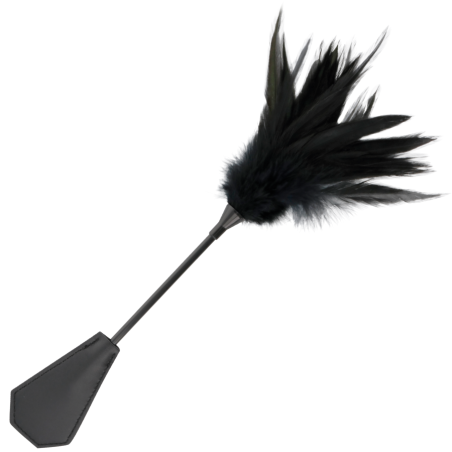 fouet à plumes noires