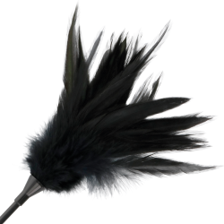 fouet à plumes noires