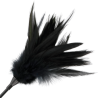 fouet à plumes noires