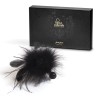 plume pom pom