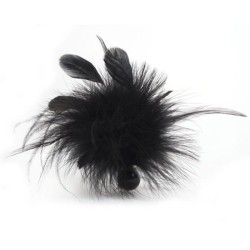 plume pom pom