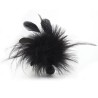 plume pom pom